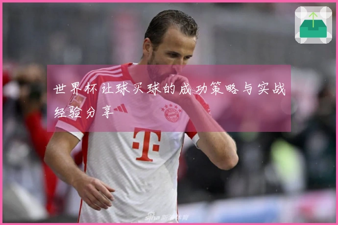 世界杯让球买球的成功策略与实战经验分享