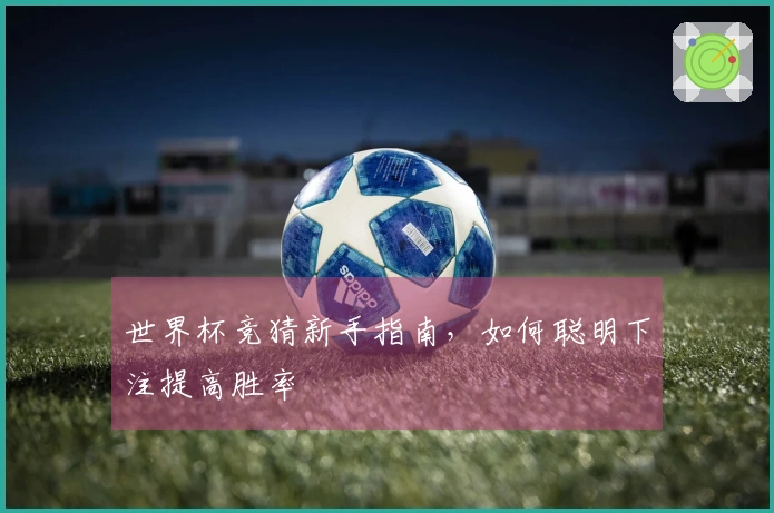 世界杯竞猜新手指南，如何聪明下注提高胜率