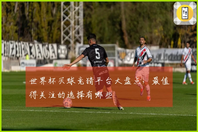 世界杯买球竞猜平台大盘点，最值得关注的选择有哪些