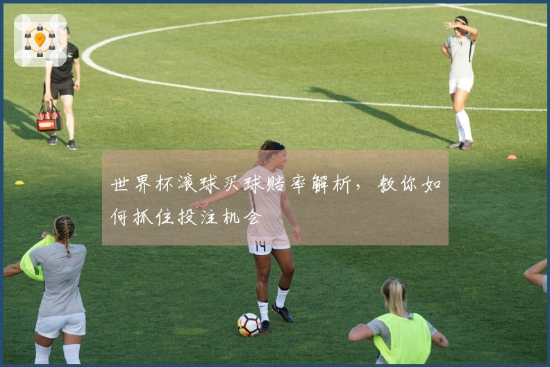 世界杯滚球买球赔率解析，教你如何抓住投注机会