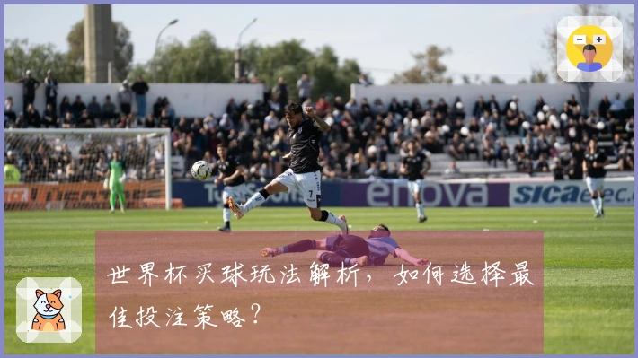 世界杯买球玩法解析，如何选择最佳投注策略？