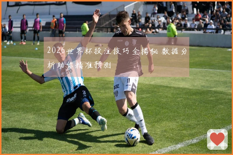 2026世界杯投注技巧全揭秘 数据分析助你精准预测
