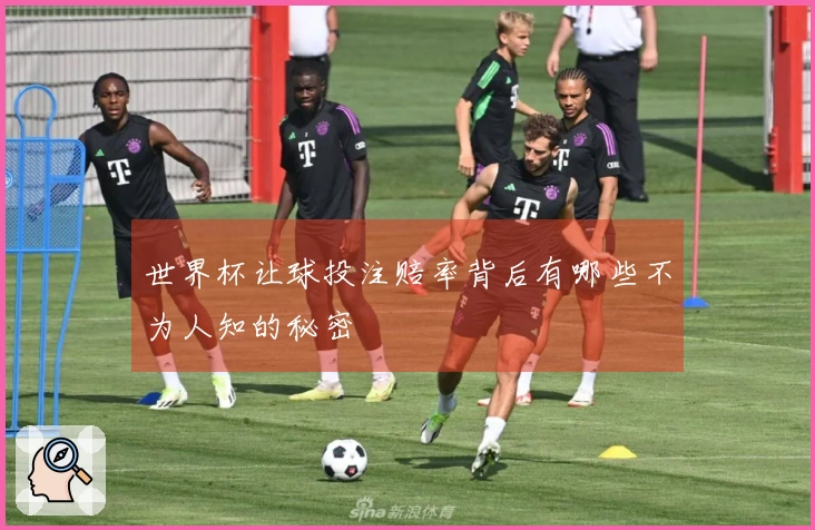 世界杯让球投注赔率背后有哪些不为人知的秘密