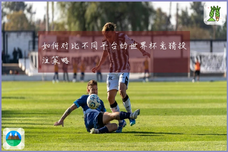 如何对比不同平台的世界杯竞猜投注策略