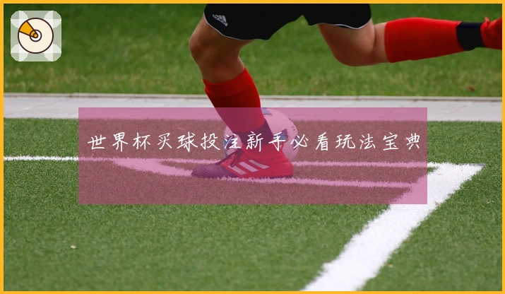 世界杯买球投注新手必看玩法宝典