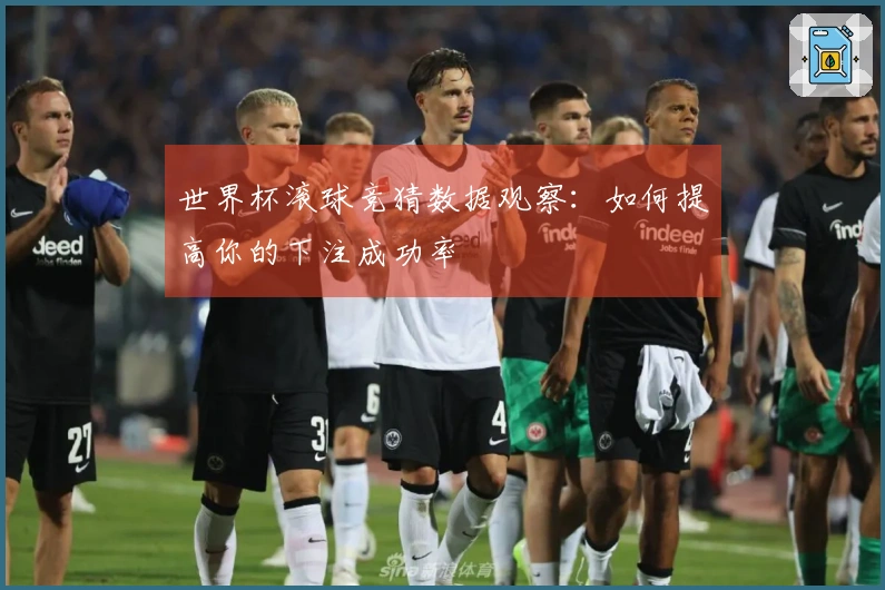 世界杯滚球竞猜数据观察：如何提高你的下注成功率