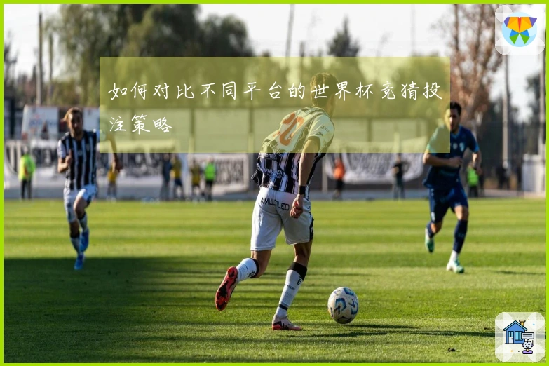 如何对比不同平台的世界杯竞猜投注策略