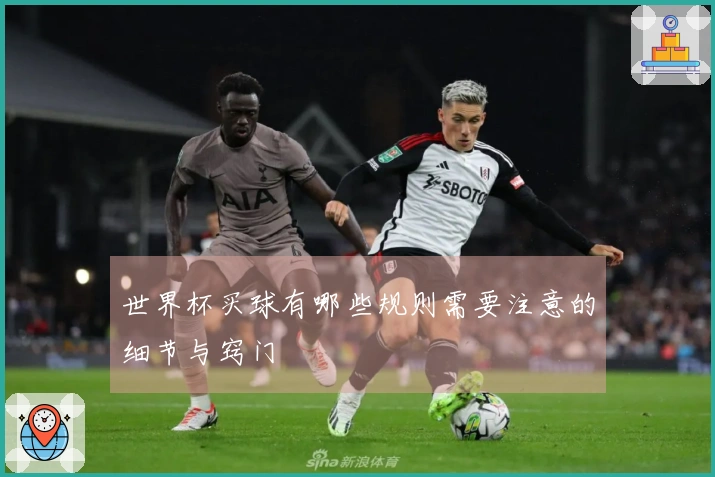 世界杯买球有哪些规则需要注意的细节与窍门