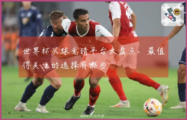 世界杯买球竞猜平台大盘点，最值得关注的选择有哪些