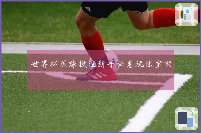 世界杯买球投注新手必看玩法宝典