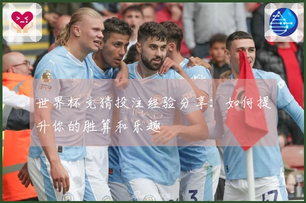 世界杯竞猜投注经验分享：如何提升你的胜算和乐趣
