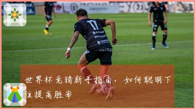 世界杯竞猜新手指南，如何聪明下注提高胜率