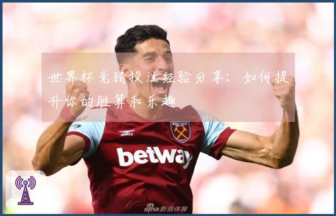 世界杯竞猜投注经验分享：如何提升你的胜算和乐趣