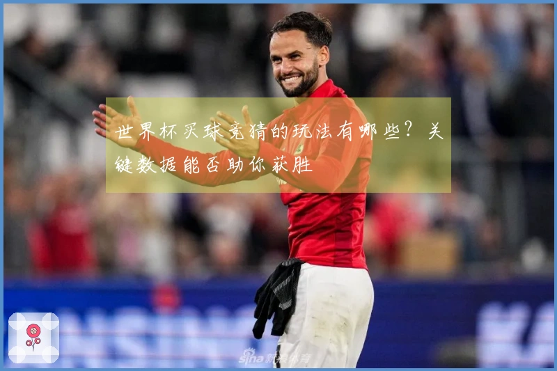 世界杯买球竞猜的玩法有哪些？关键数据能否助你获胜