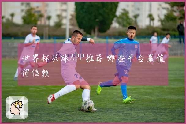 世界杯买球APP推荐 哪些平台最值得信赖