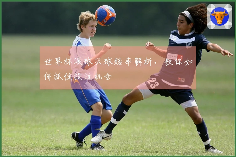 世界杯滚球买球赔率解析，教你如何抓住投注机会